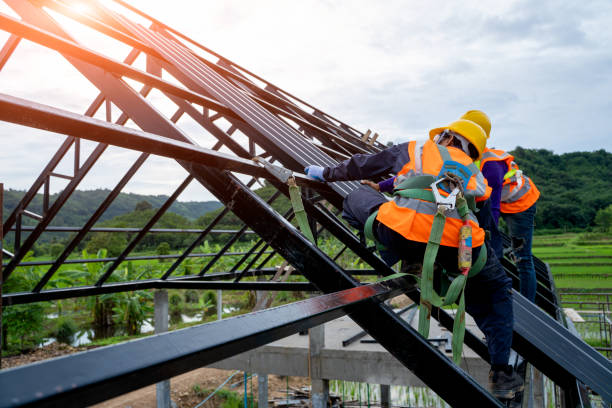 Best Roof Gutter Cleaning  in Harriman, TN