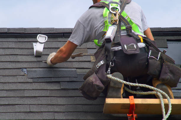 Best Roof Leak Repair  in Harriman, TN