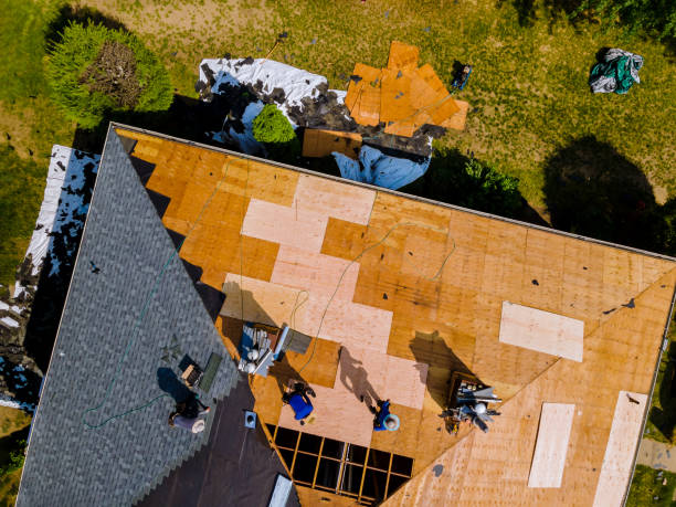Best Slate Roofing Contractor  in Harriman, TN