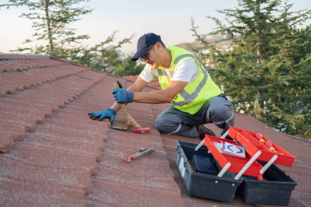 Best Roof Waterproofing Services  in Harriman, TN