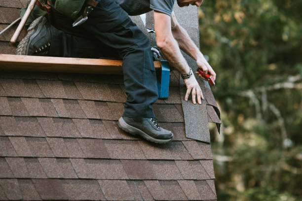 Best Storm Damage Roof Repair  in Harriman, TN